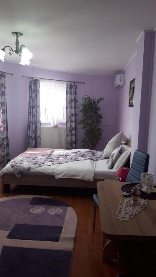 Casa Liana Hotel Nagyvárad Kültér fotó